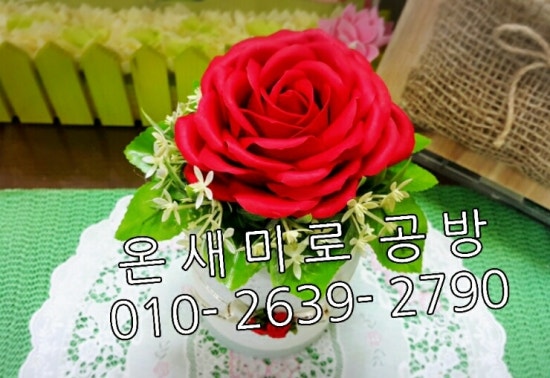 꽃온새미로 이미지