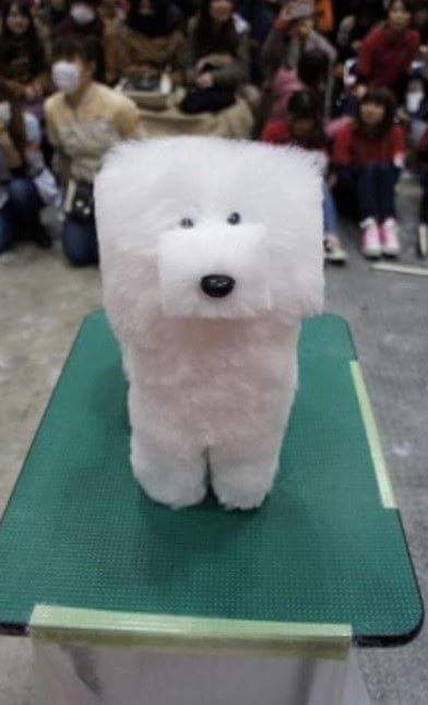 돈불랑 이미지