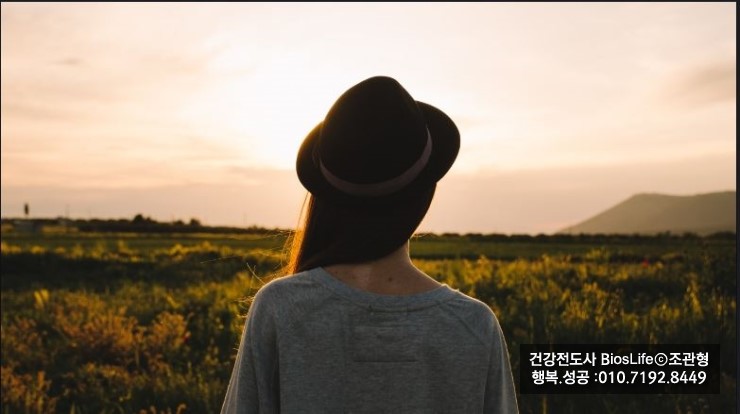 비젼과미래 이미지