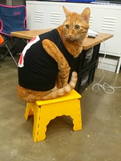 헤어브루노 이미지