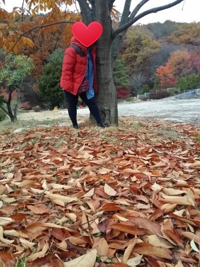 광릉분재예술공원 캠핑장 이미지