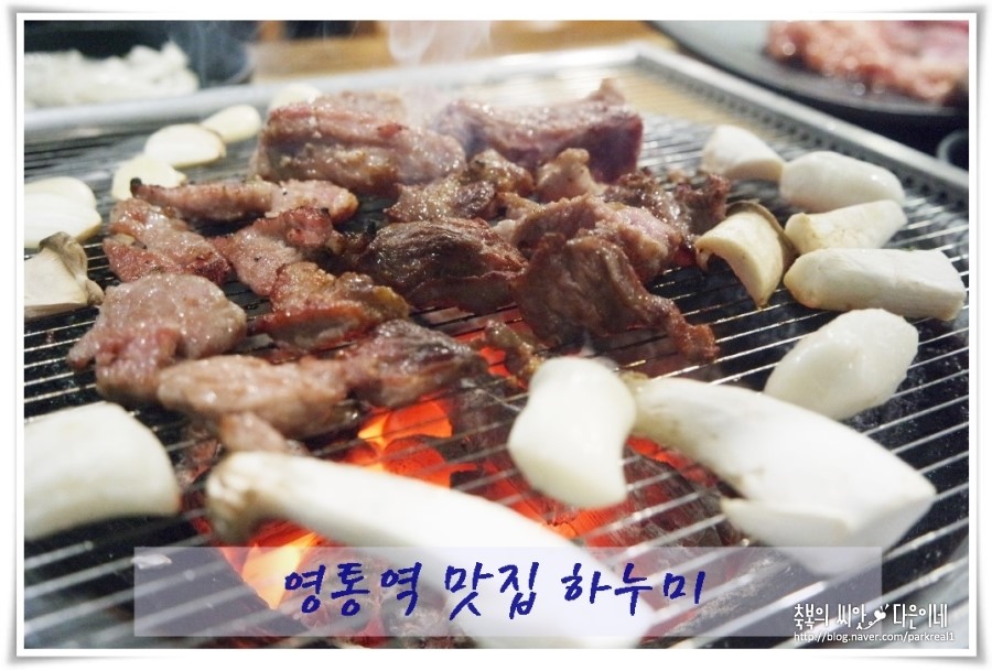 하누미 이미지