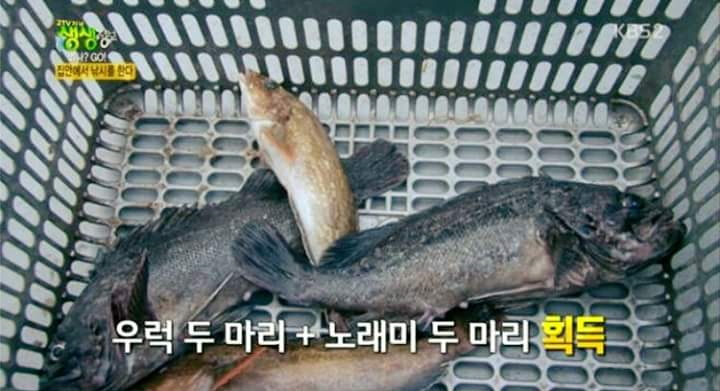 낚시매니아 이미지