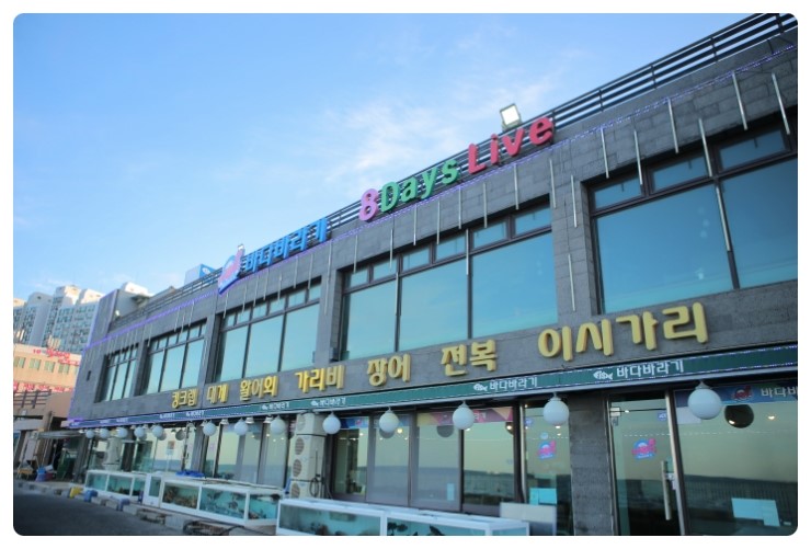 바다 바라기 이미지