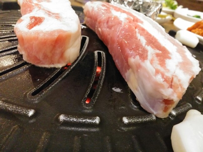 명량돼지 이미지