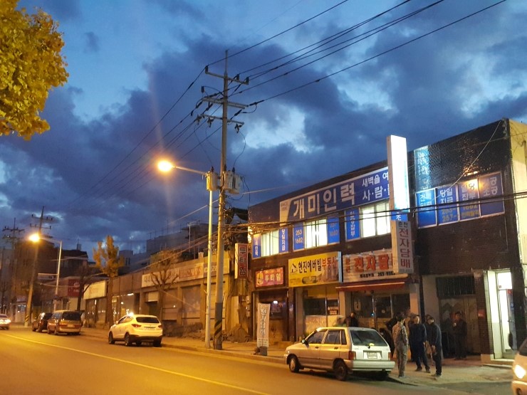 개미인력직업소개소 이미지