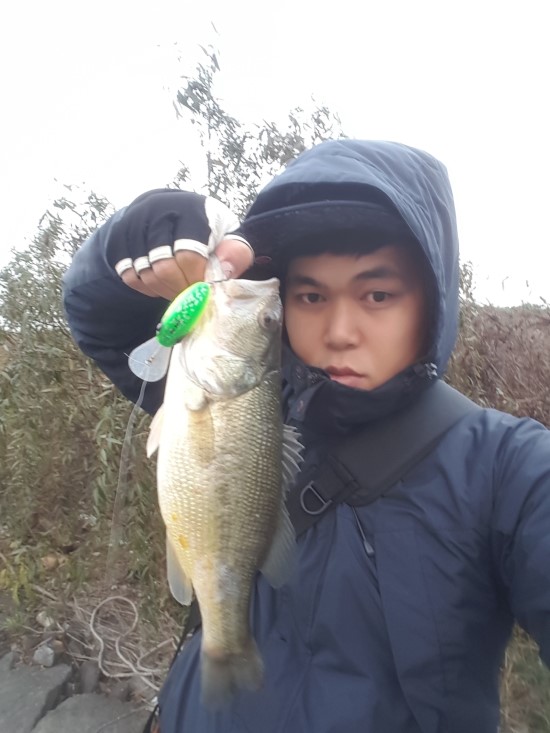 디씨땡 이미지
