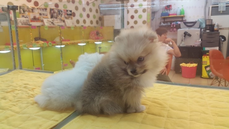 유니원 이미지