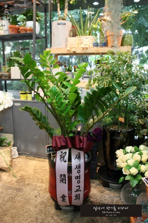 삼부꽃집 이미지