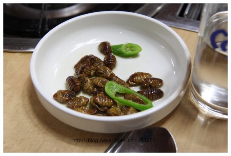 동호카센타 이미지