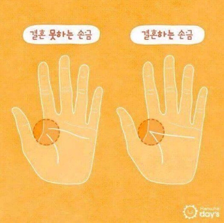 훔훔 이미지