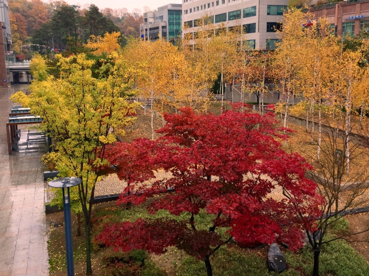 해피키친 이미지