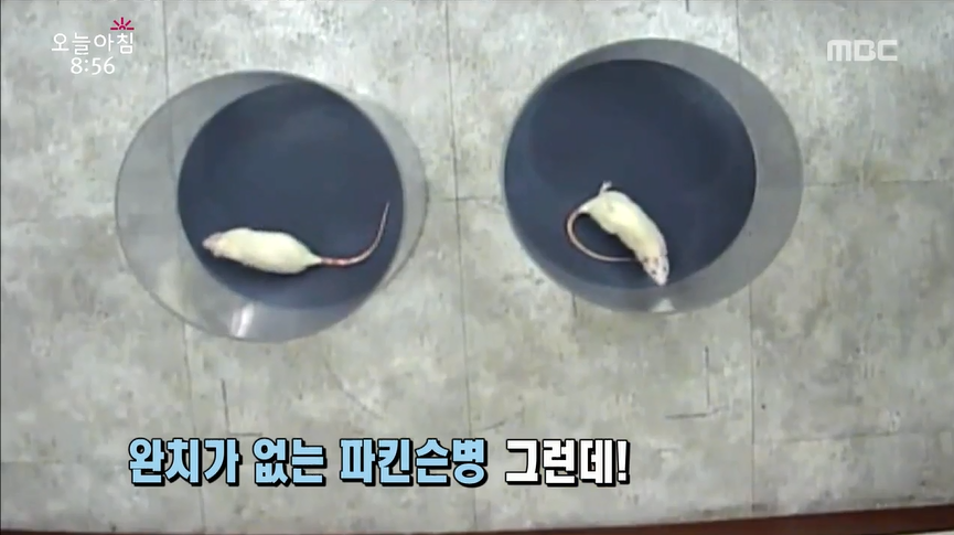 최근희소식 이미지