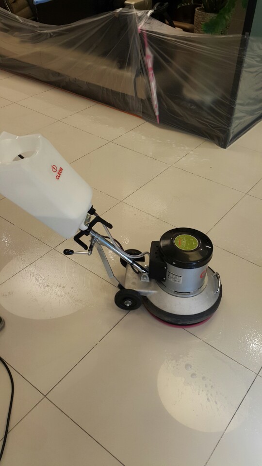 그린광택 이미지