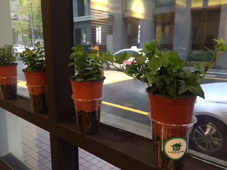 더치엔커피 이미지