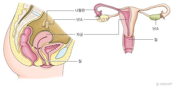 한사랑산부인과한사랑여성의원 이미지