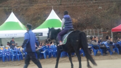 미스터콩 이미지