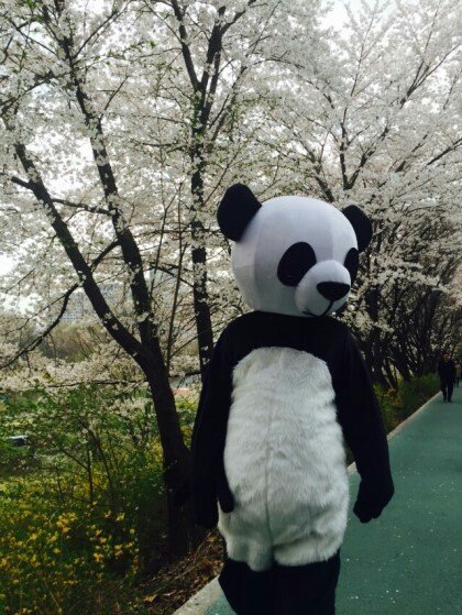 락셰프 이미지