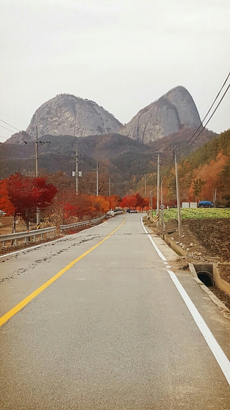 만금토속 이미지