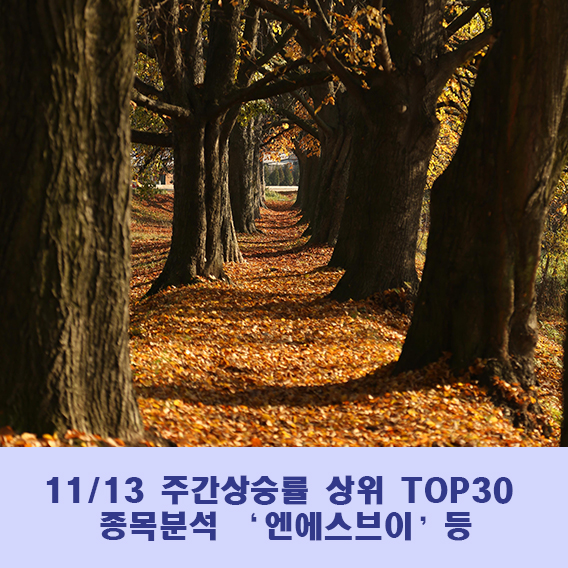 (주)엔에스브이 이미지