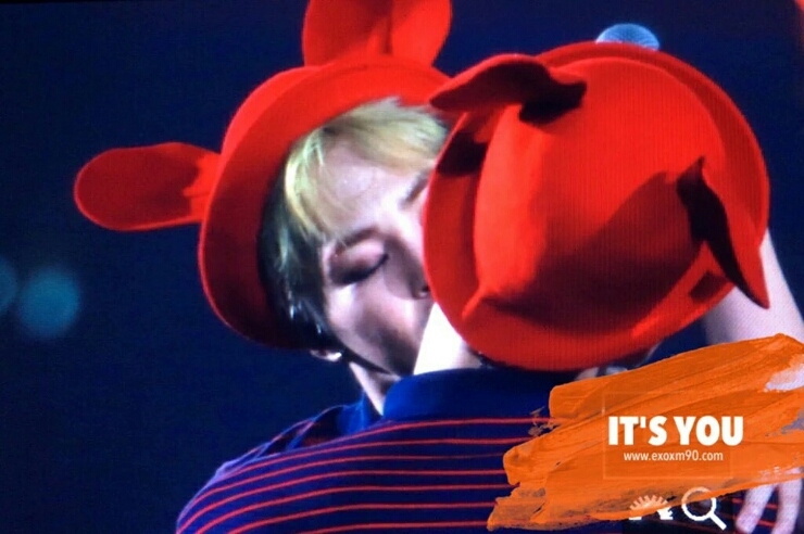 다이조부 이미지