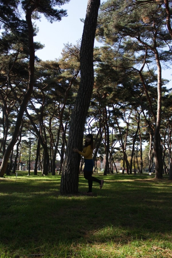 국민 돈가스 이미지