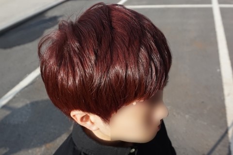포레스타스프링 이미지