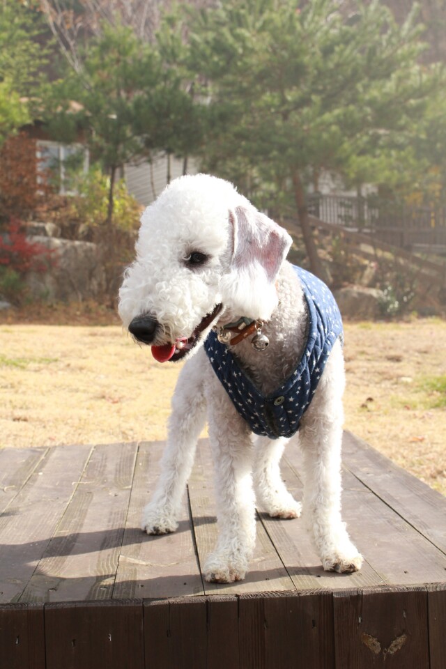 주앤주 이미지