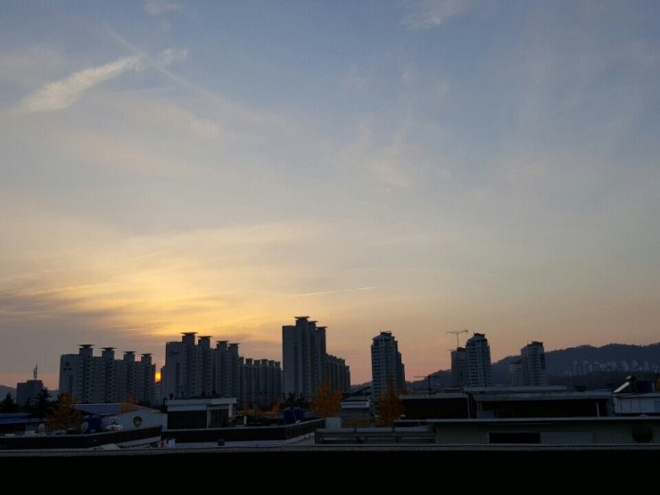 토리토리 이미지