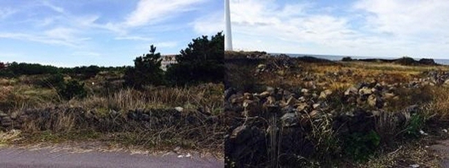 제주에산다면 이미지