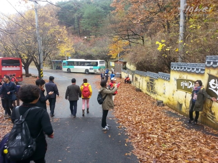 달성관광(주) 이미지