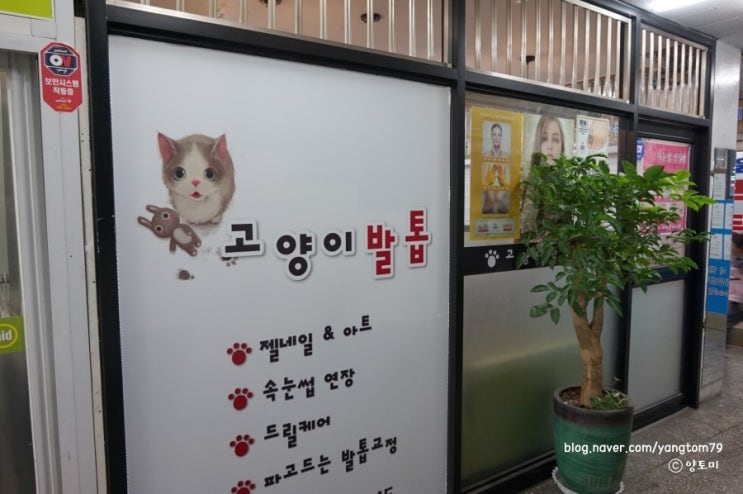 고양이발톱네일&속눈썹 이미지