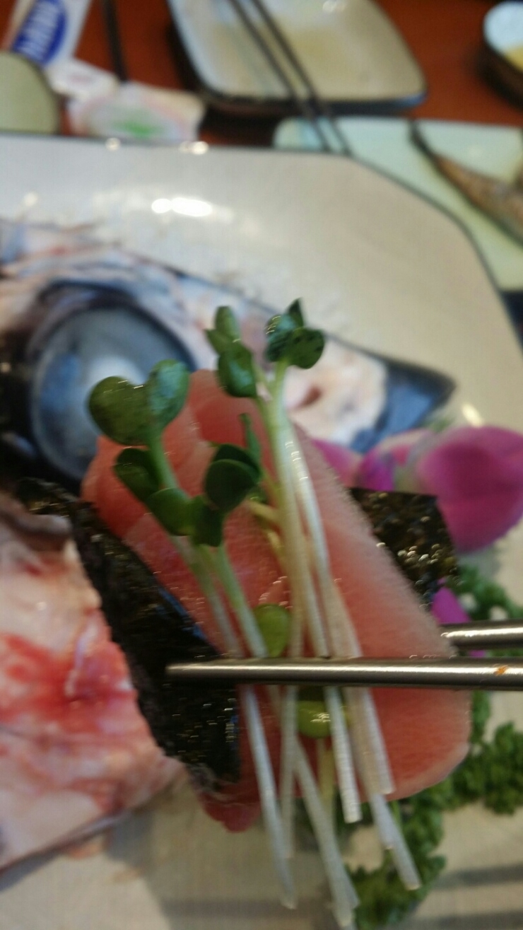 오션참치 이미지
