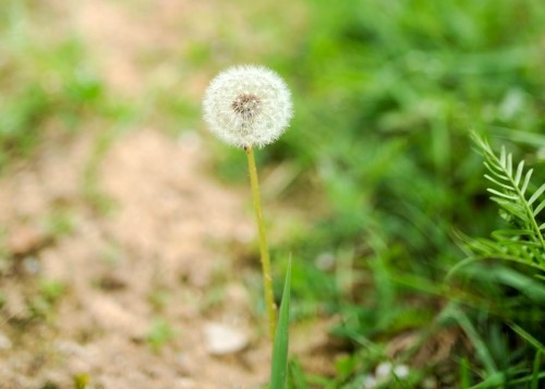 정국영한의원 이미지