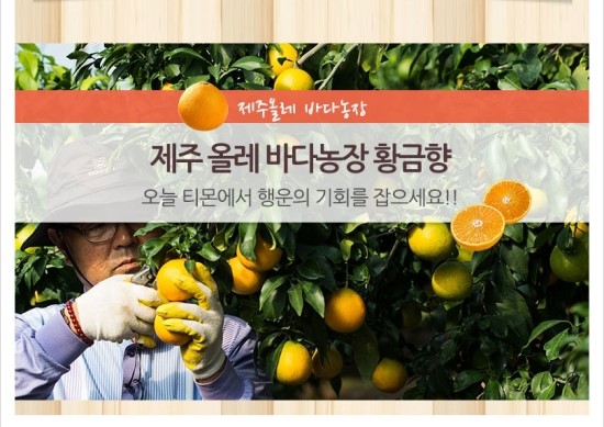 황금향 이미지