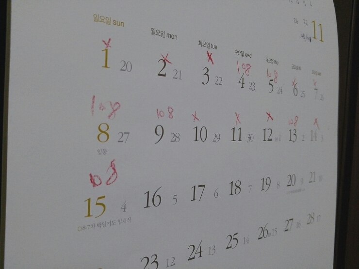 정일사 이미지