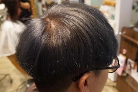 포레스타스프링 이미지