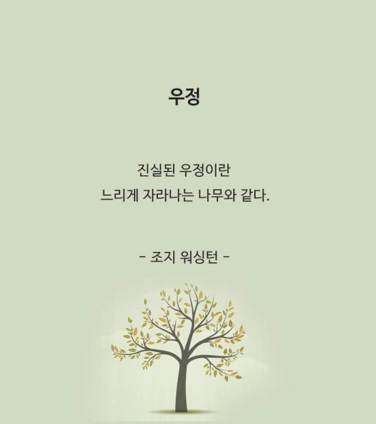 자라는나무 이미지