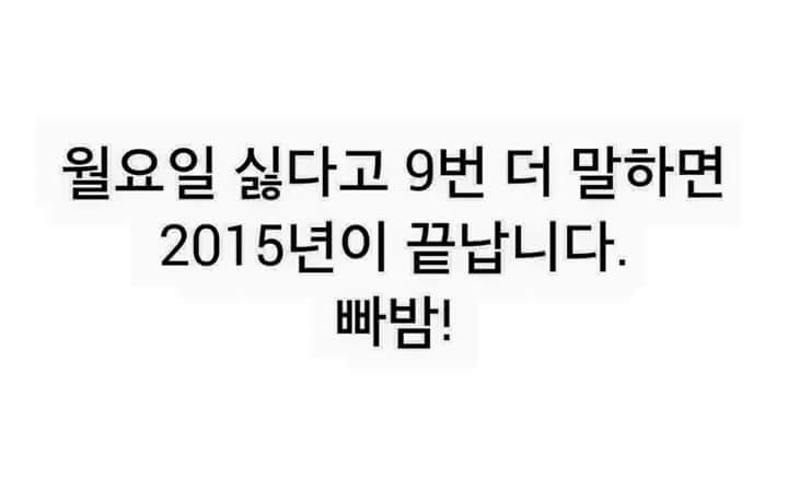 반땅 이미지
