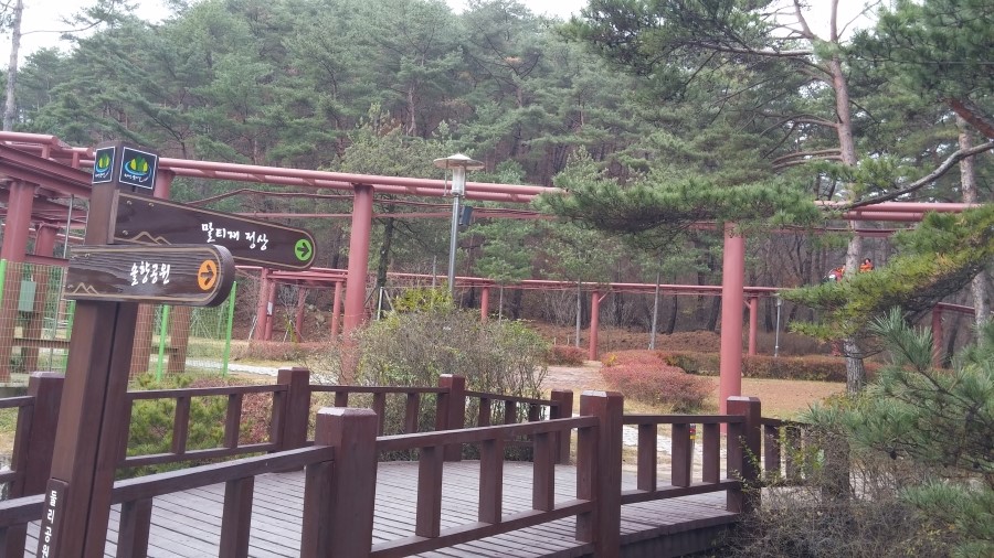 솔향공원 스카이바이크 시설 이미지