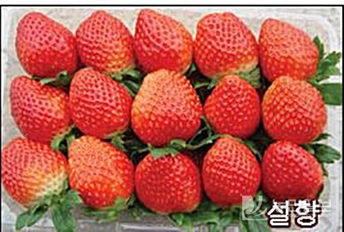 탑안전기술 이미지