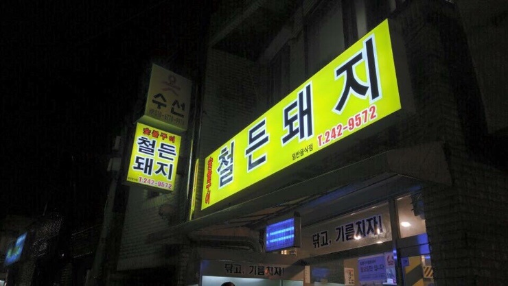 철든돼지 이미지