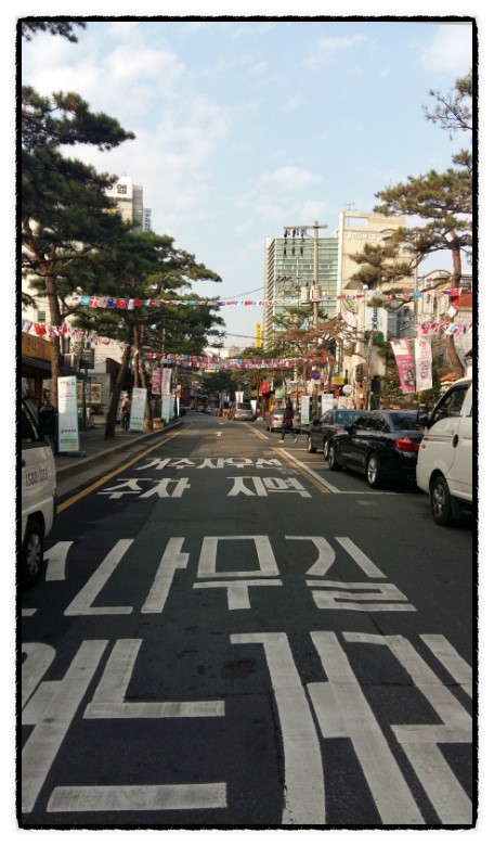 소나무인력개발 이미지