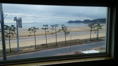 꼴라비 이미지
