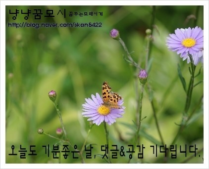 바이수 이미지