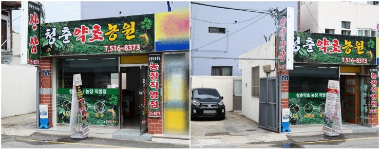 산삼약초전시장 이미지
