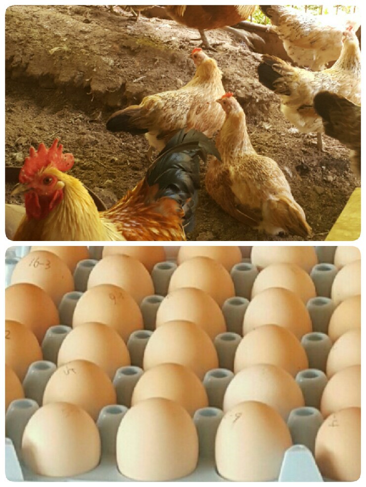 방주산업 이미지