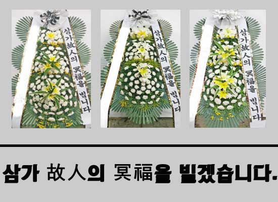 성애플라워 이미지
