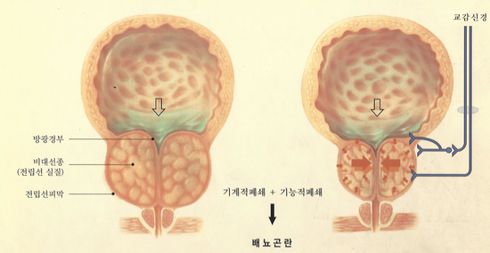 준비뇨기과의원 이미지