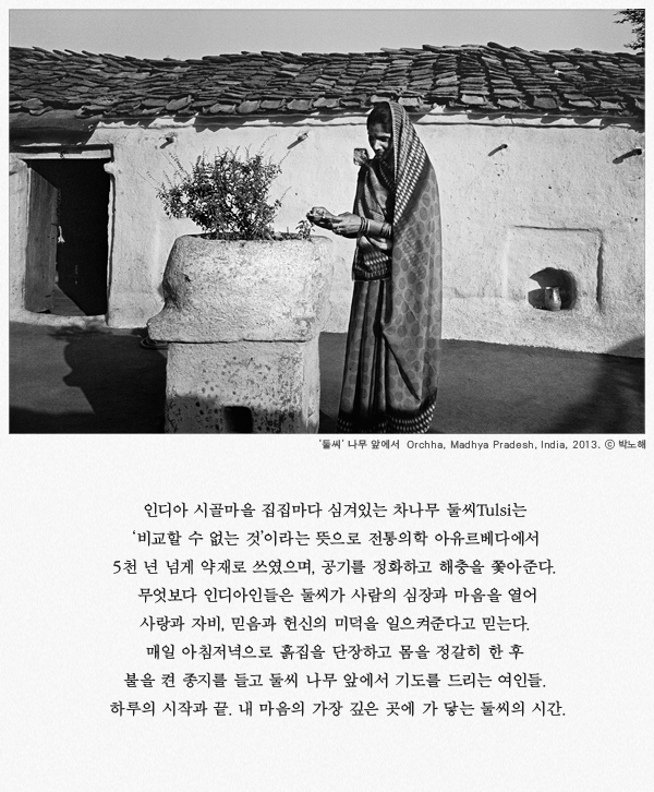 디레디레 이미지